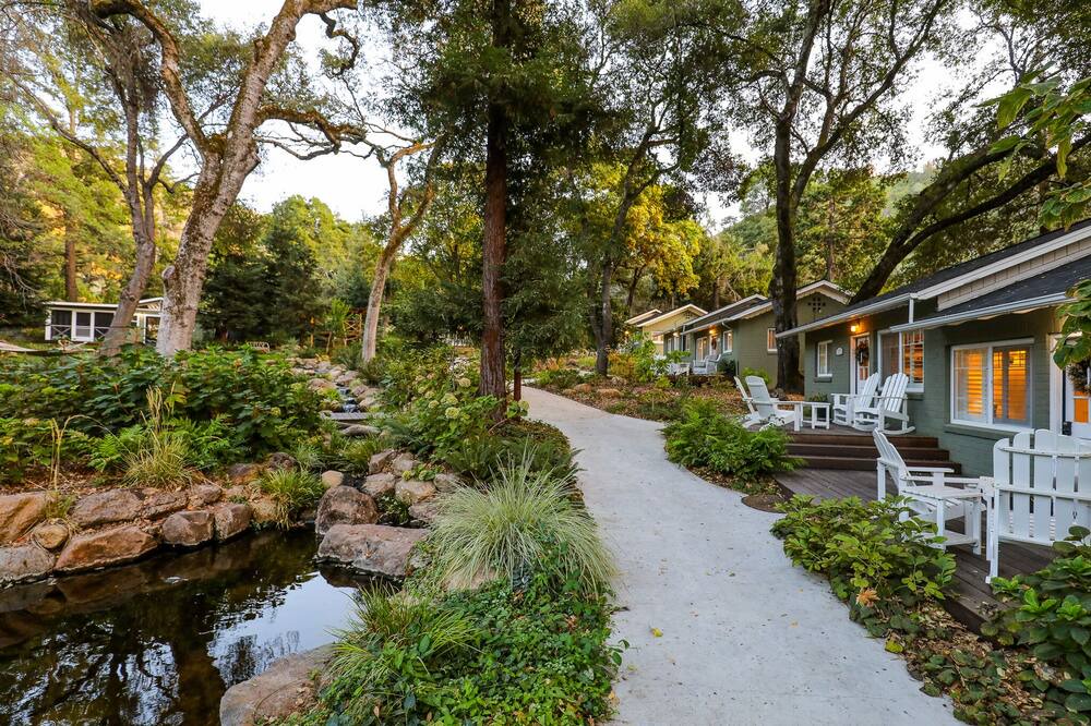 Photo of Outdoor in Soda Bay