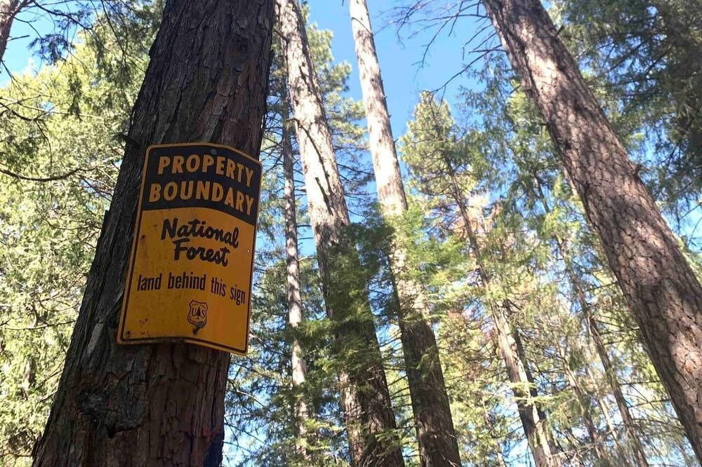 Photo of Others in Nevada City