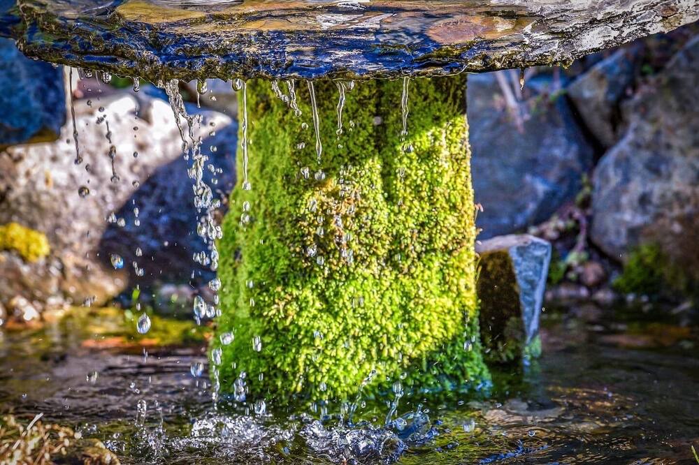 Photo of Others in Nevada City