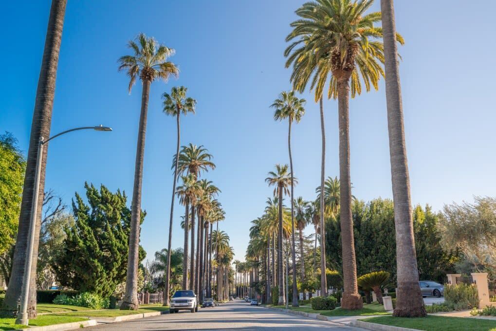 Photo of Outdoor in The Flats