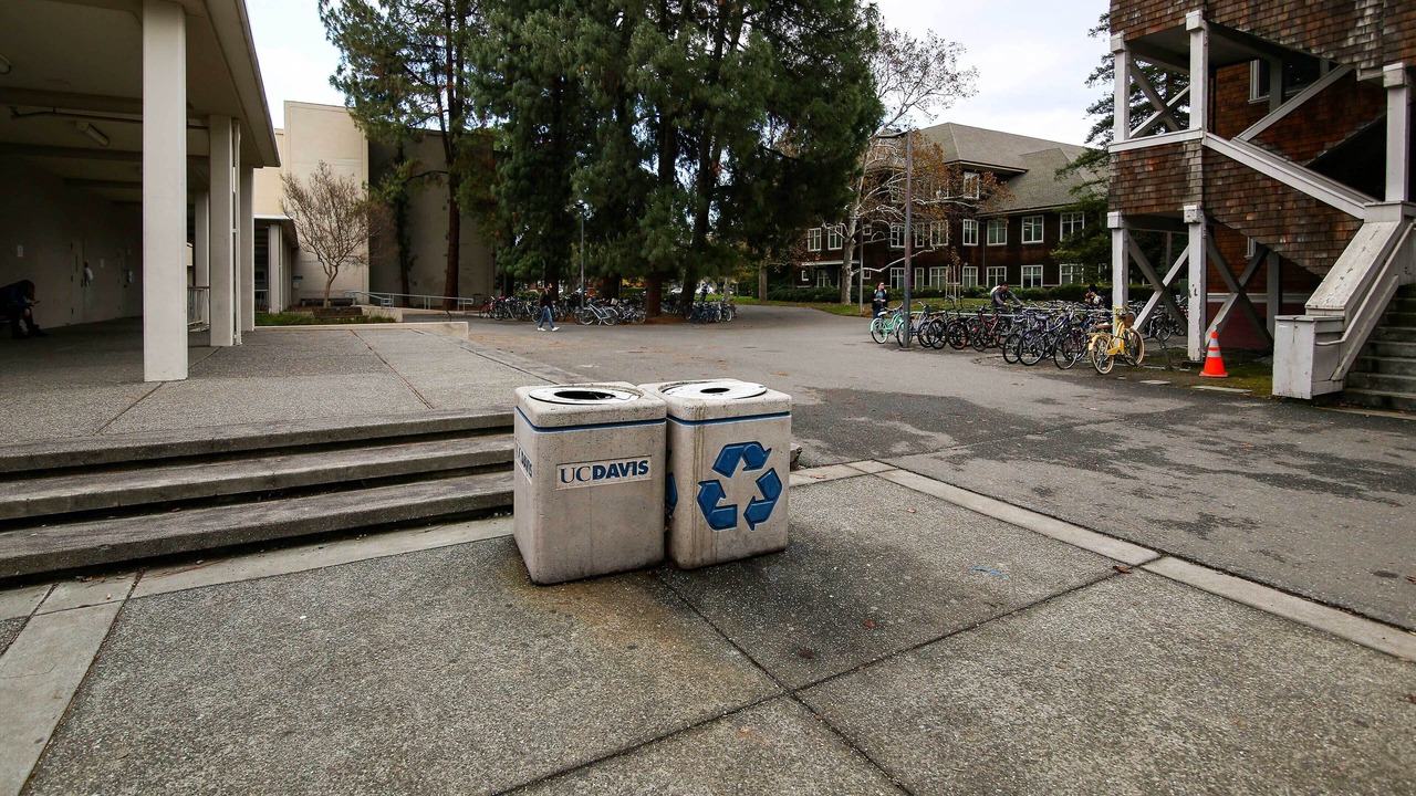 Photo of Others in Davis
