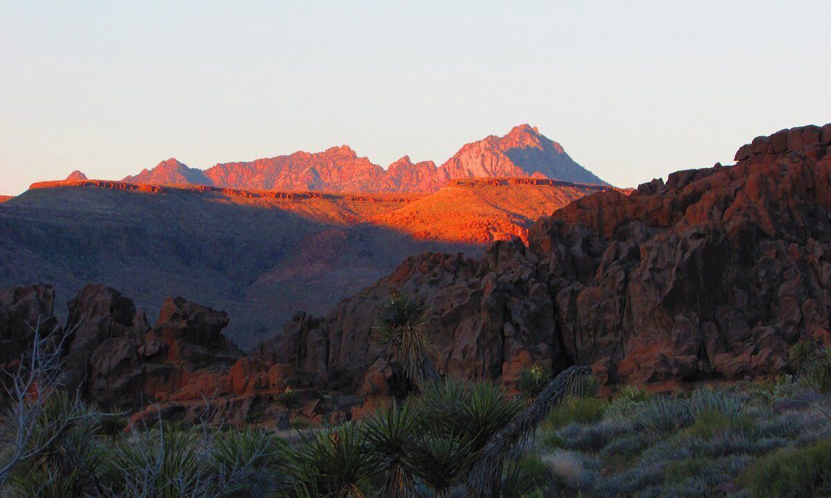 Photo of Others in Mojave