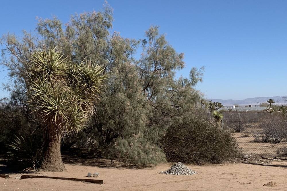 Photo of Outdoor in Yucca Valley