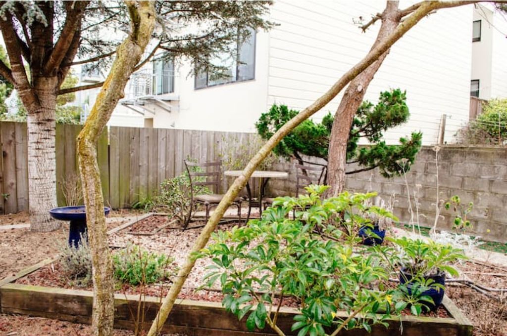 Photo of Outdoor in Central Richmond