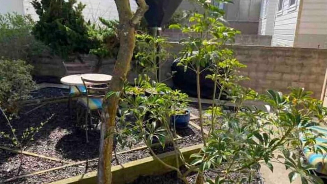 Photo of Outdoor in Central Richmond