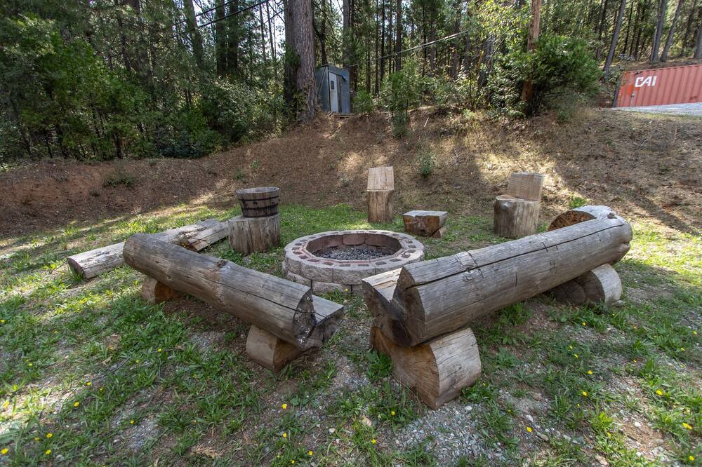 Photo of Outdoor in Forest Meadows