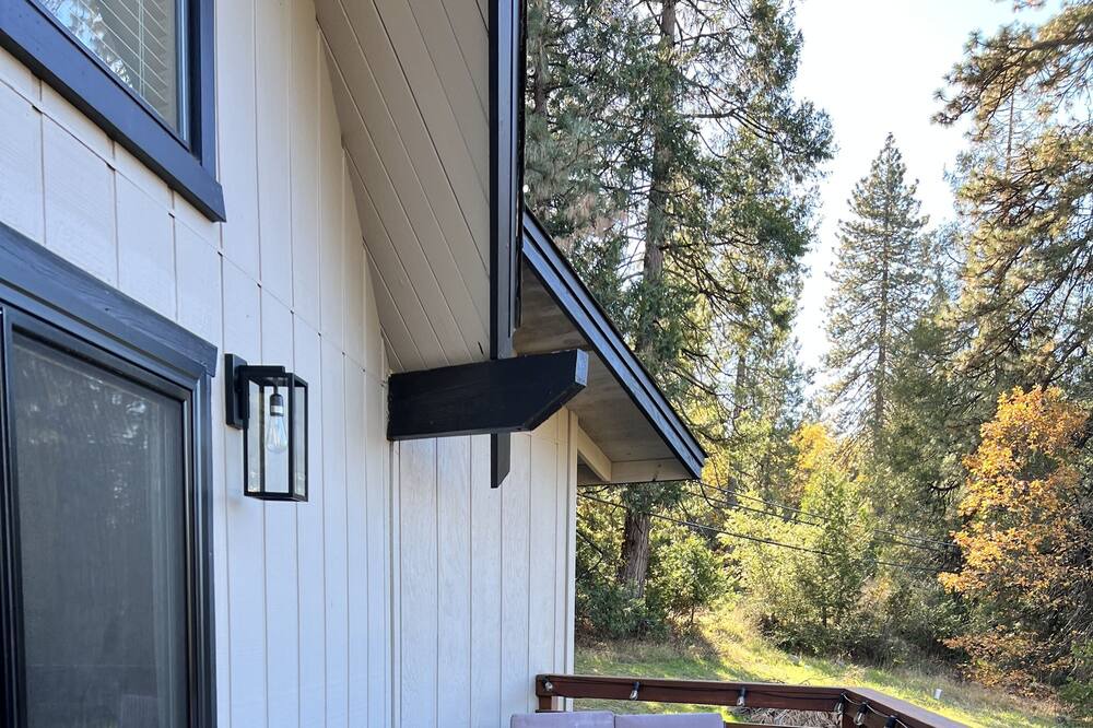 Photo of Outdoor in Forest Meadows