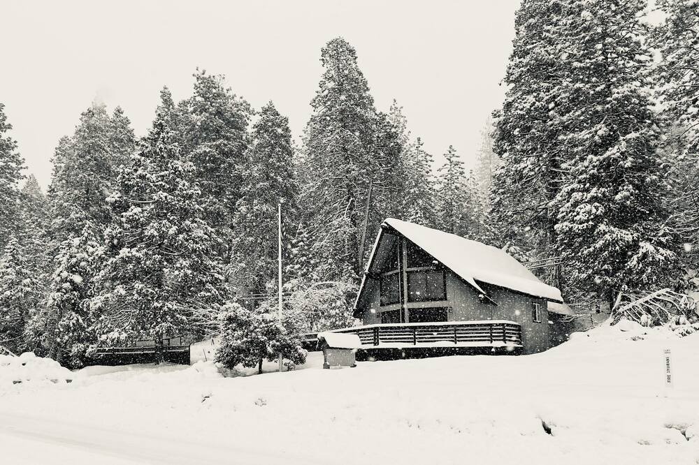 Photo of Outdoor in Forest Meadows