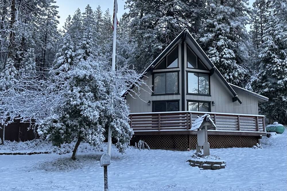Photo of Outdoor in Forest Meadows