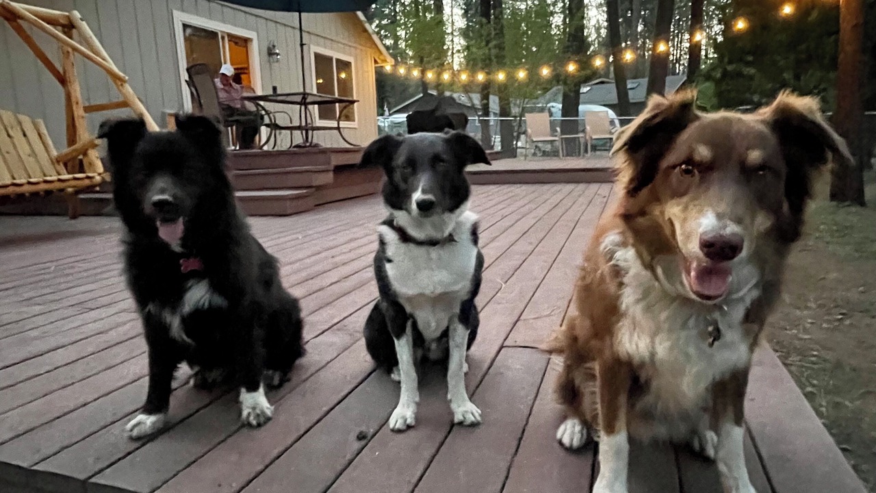 Photo of Outdoor in Plumas Eureka