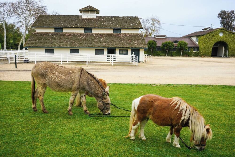 Photo of Outdoor in Santa Ynez