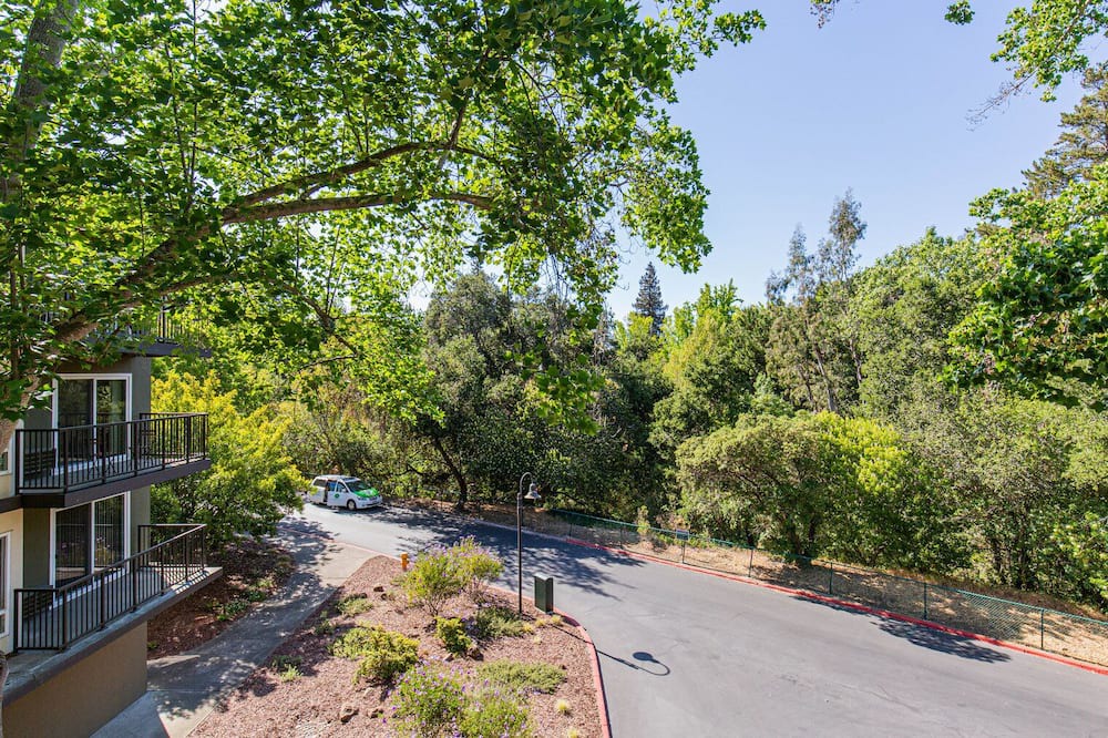 Photo of Outdoor in Palo Alto