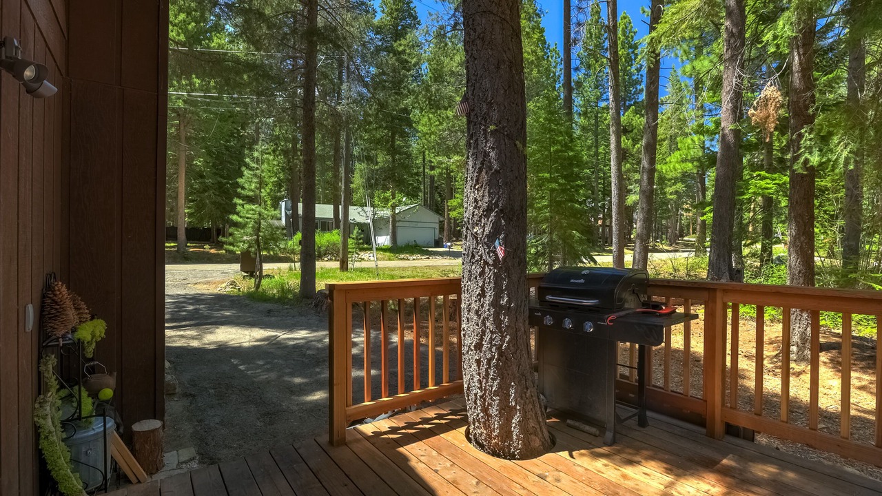 Photo of Outdoor in North Upper Truckee