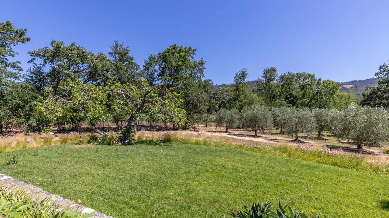 Photo of Outdoor in St. Helena