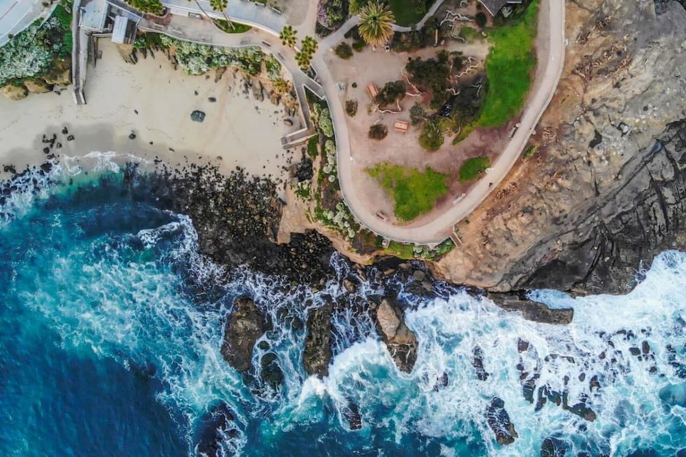 Photo of Others in Village of La Jolla