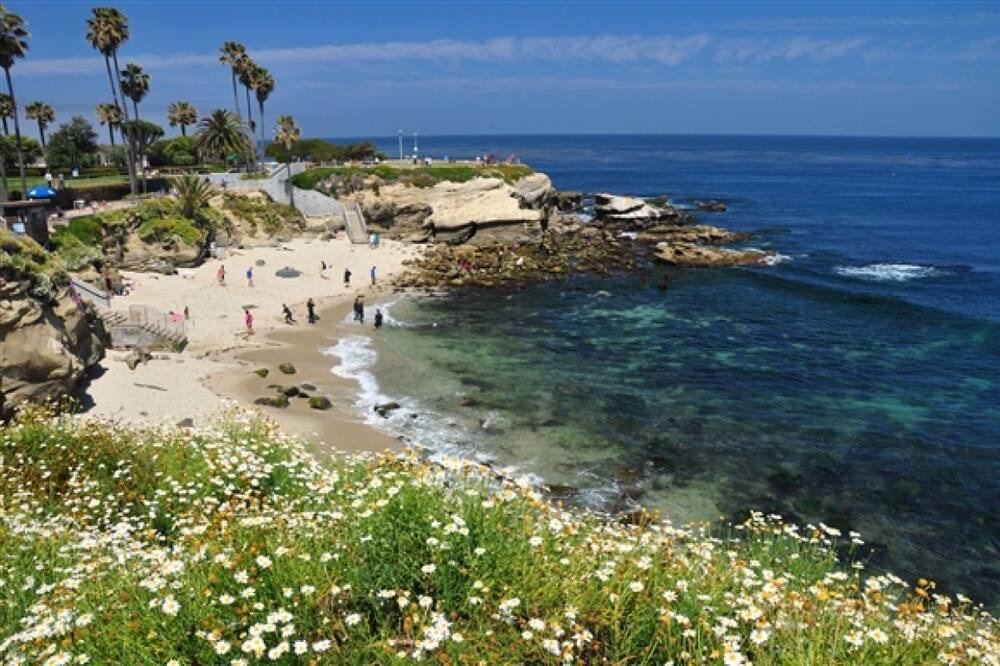 Photo of Others in Village of La Jolla