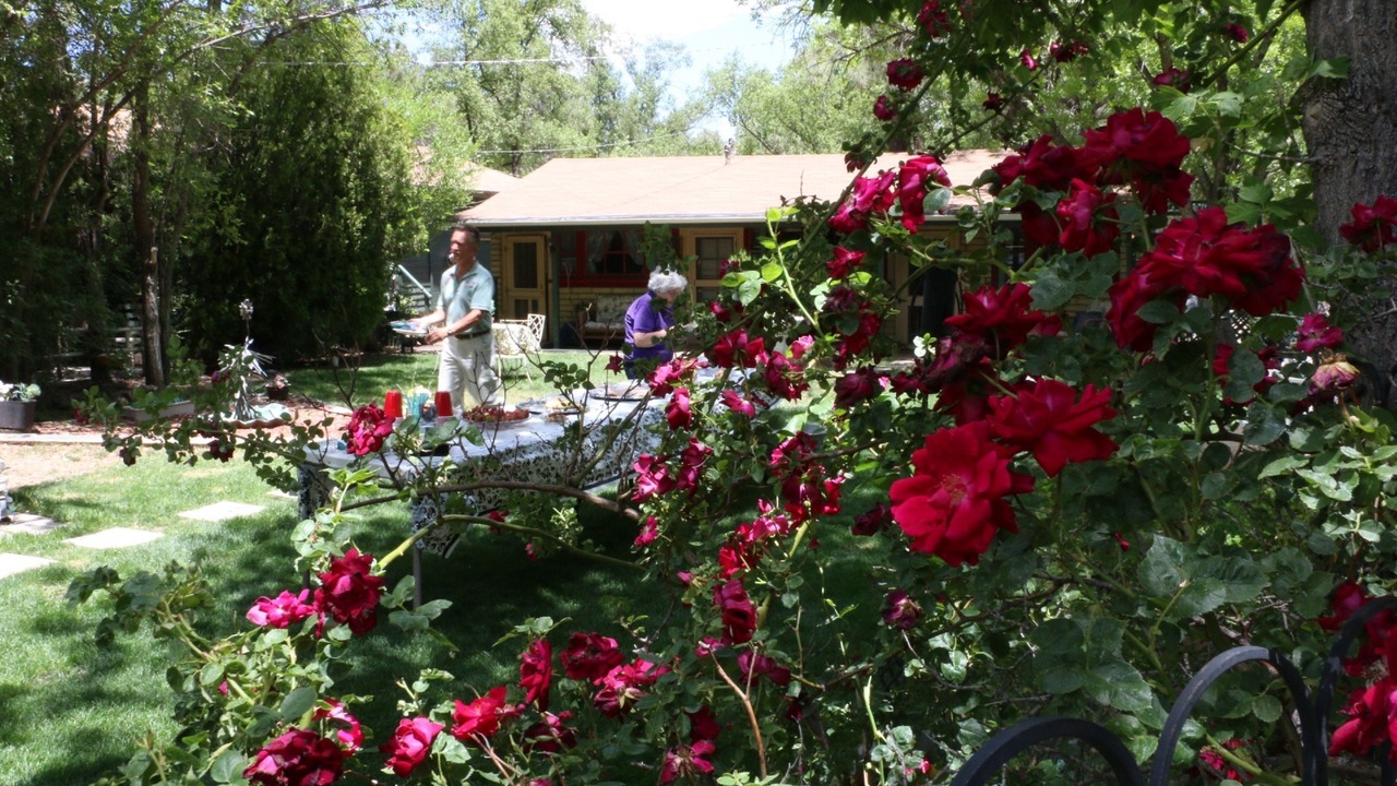 Photo of Outdoor in Prescott