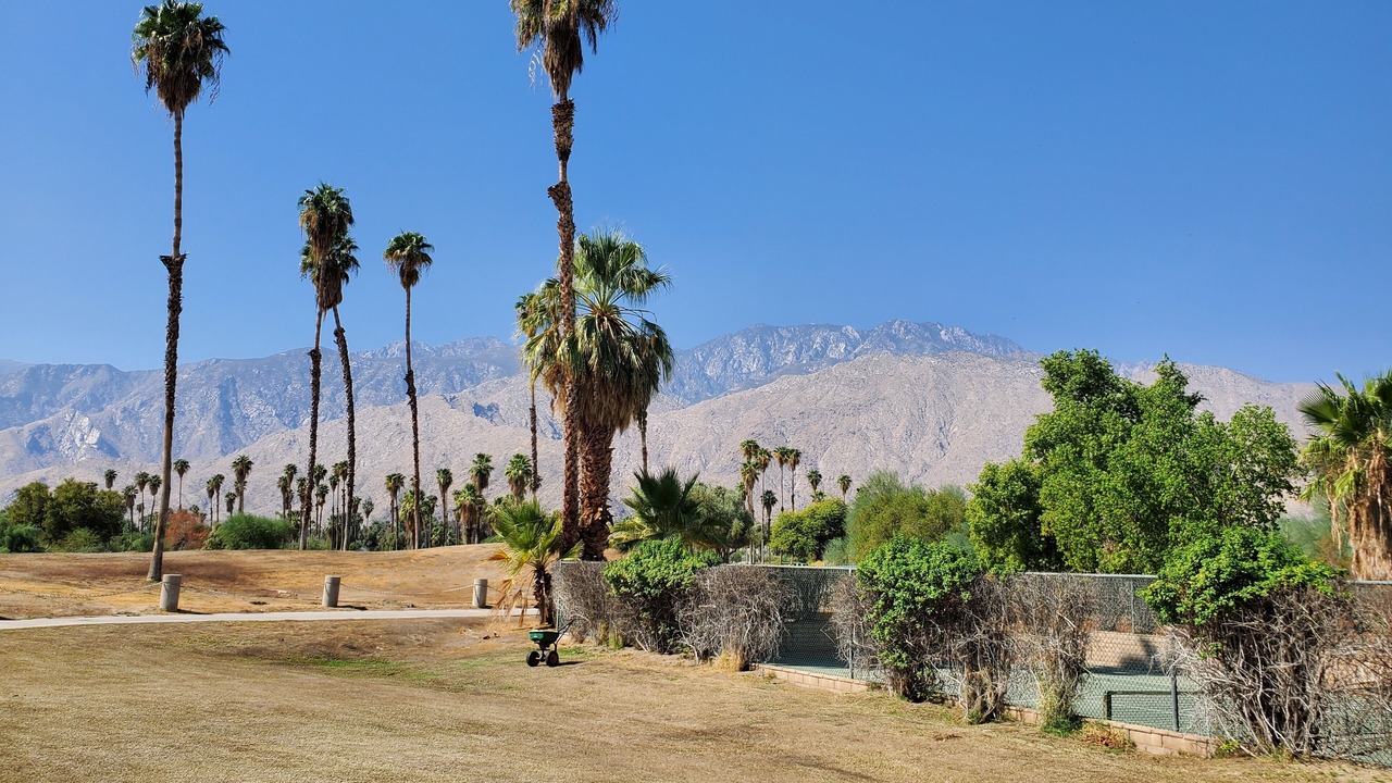 Photo of Others in Palm Springs