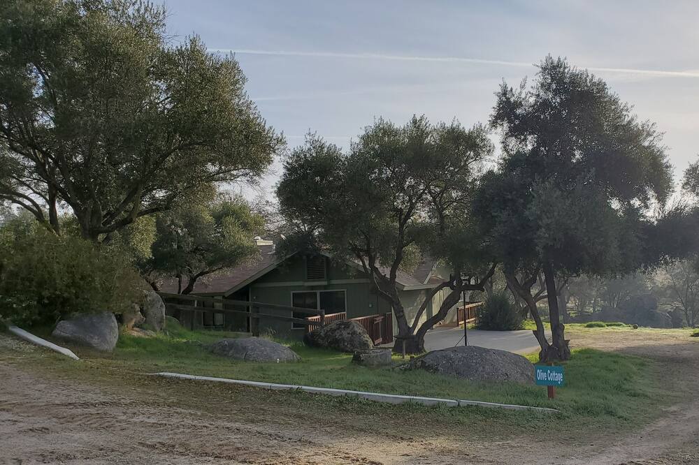 Photo of Outdoor in Raymond