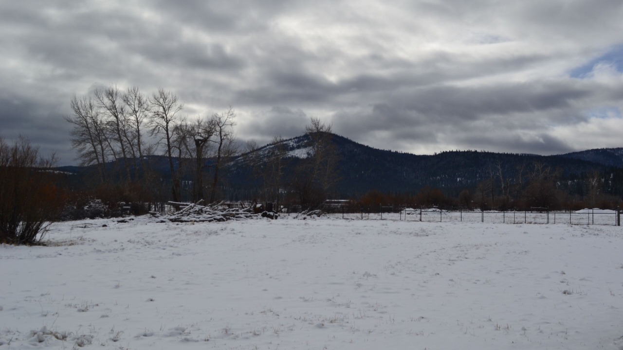 Photo of Others in Sierraville