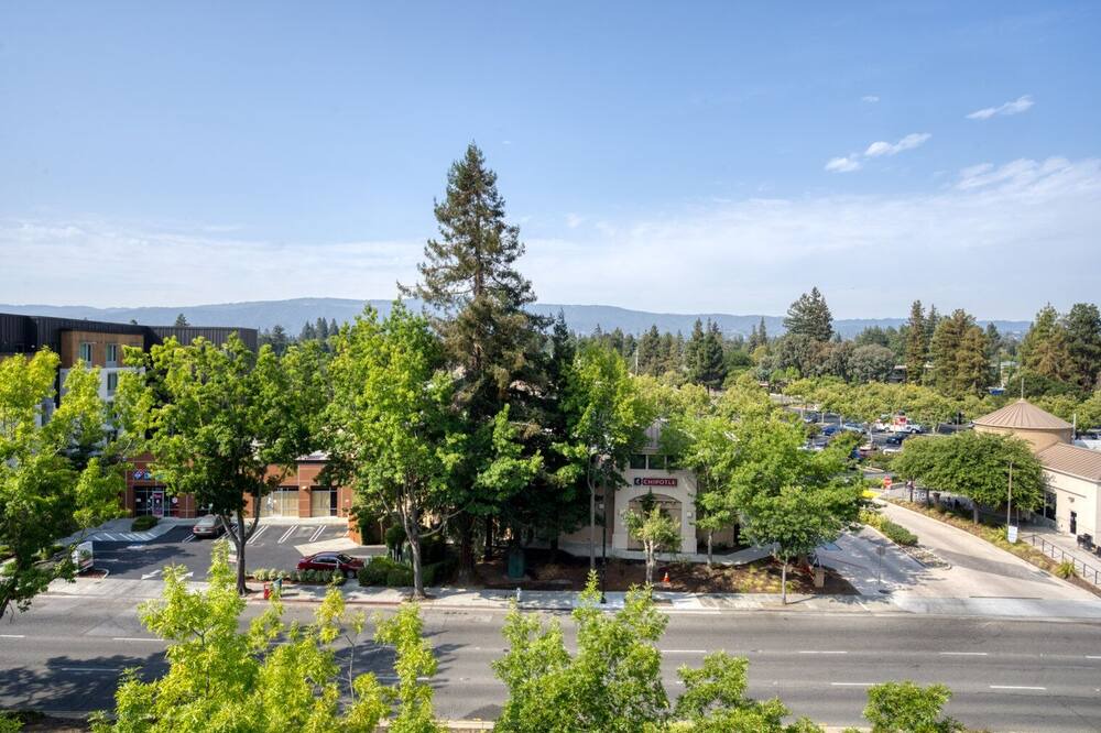 Photo of Outdoor in Shoreline West