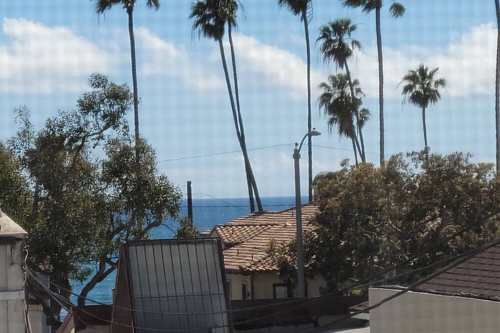 Photo of Others in Laguna Beach