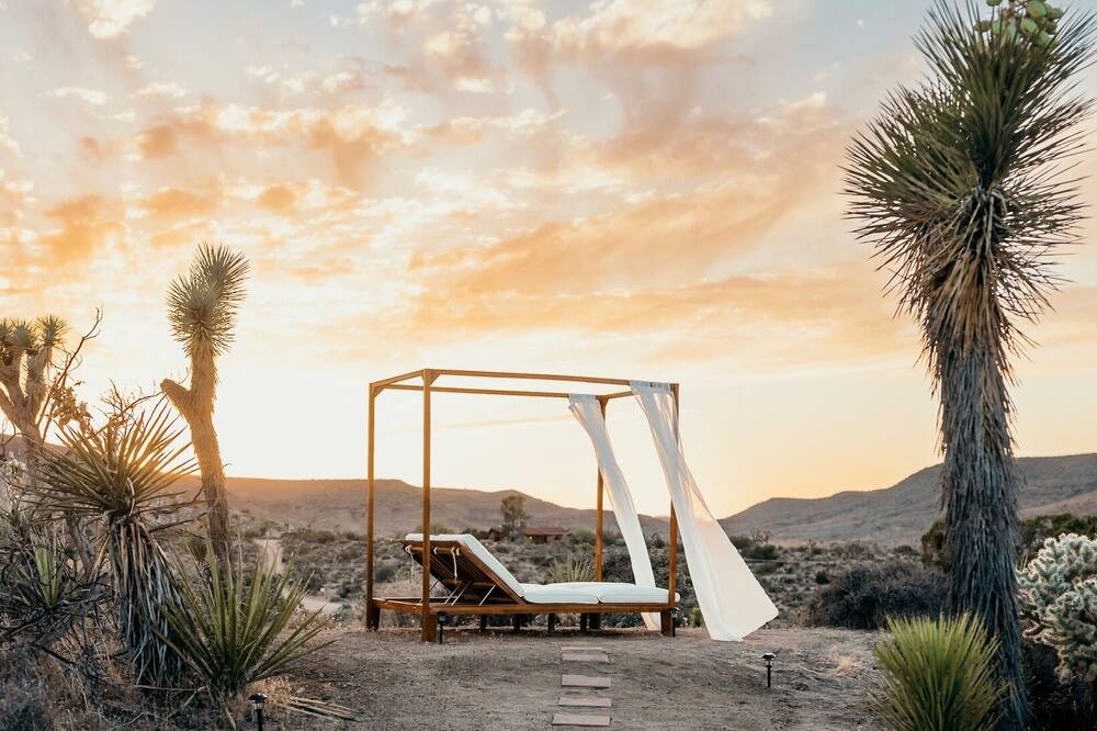 Photo of Others in Yucca Valley