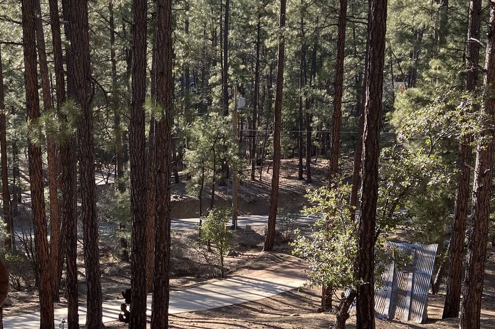 Photo of Outdoor in Highland Pines