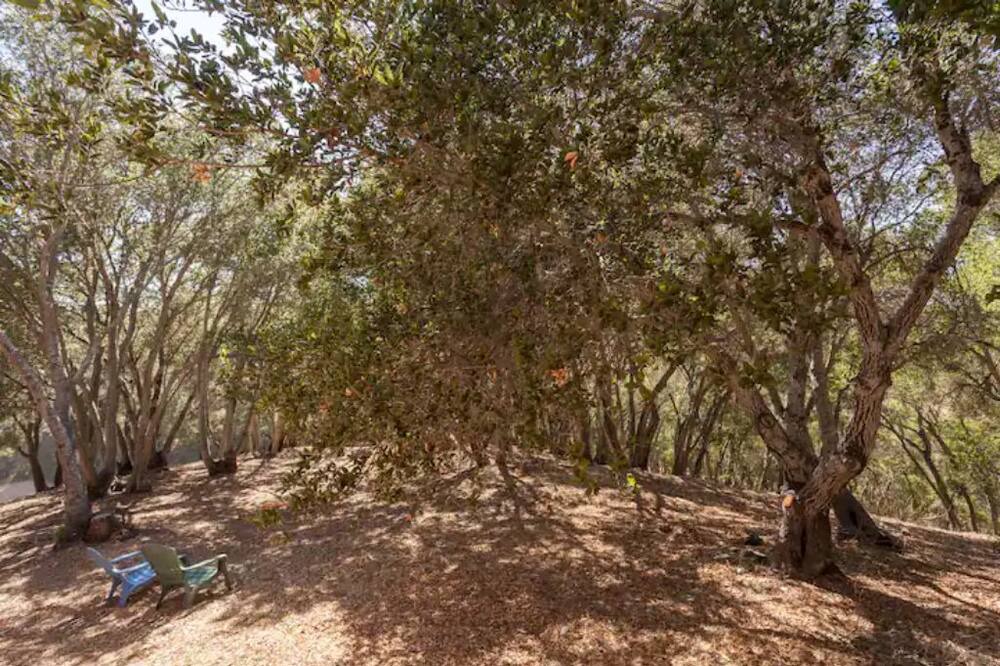 Photo of Outdoor in Paso Robles