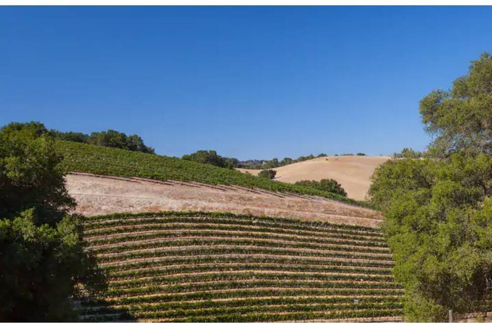 Photo of Outdoor in Paso Robles