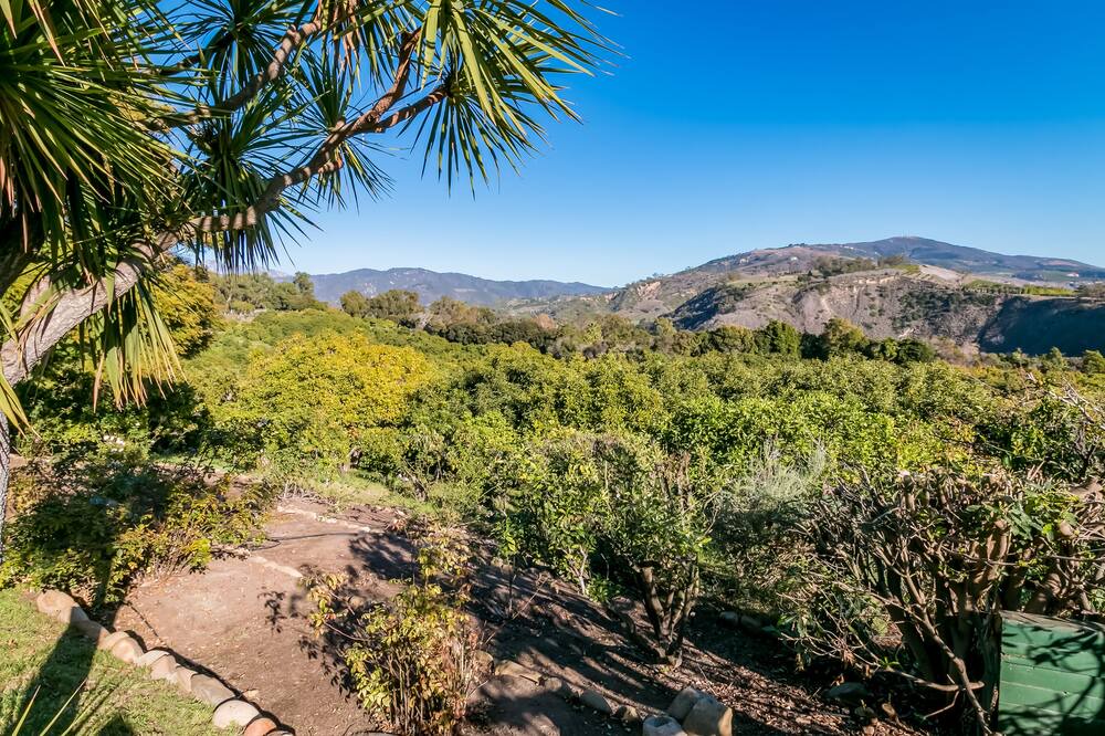 Photo of Others in Carpinteria