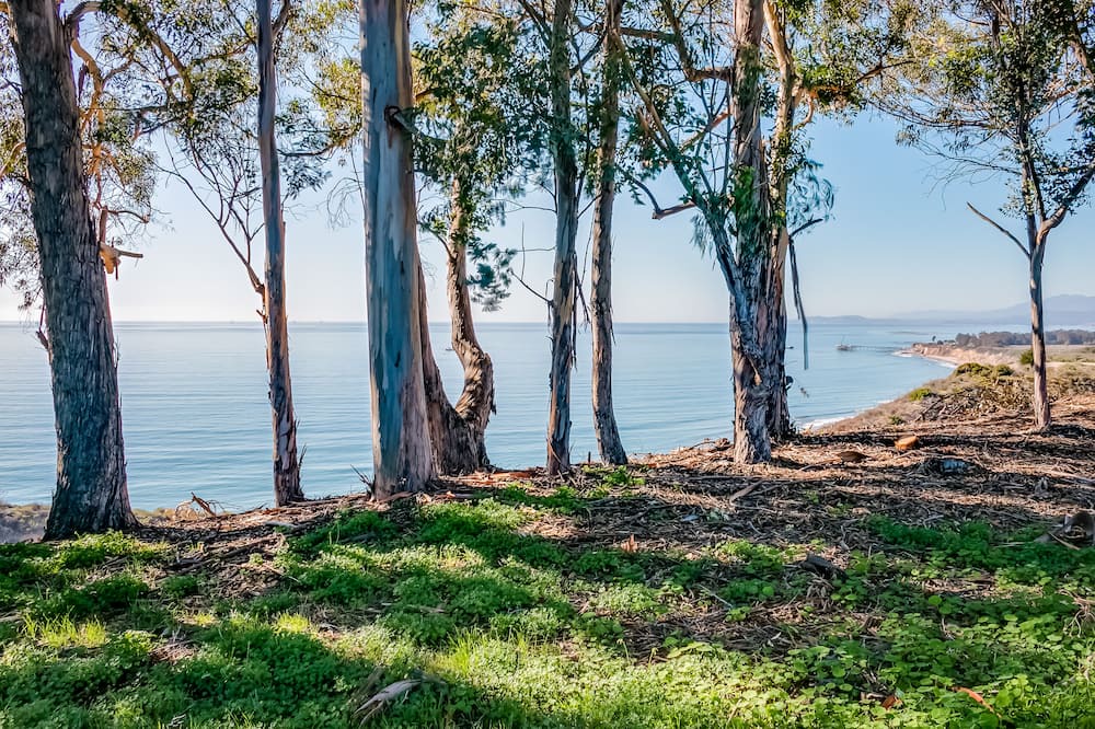 Photo of Others in Carpinteria