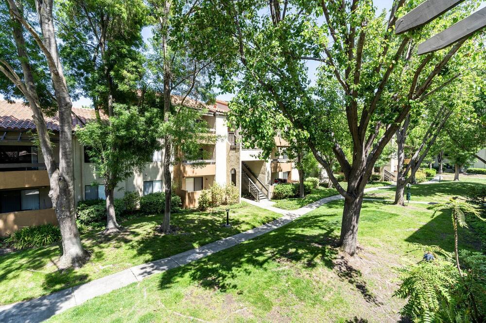 Photo of Outdoor in Shoreline West