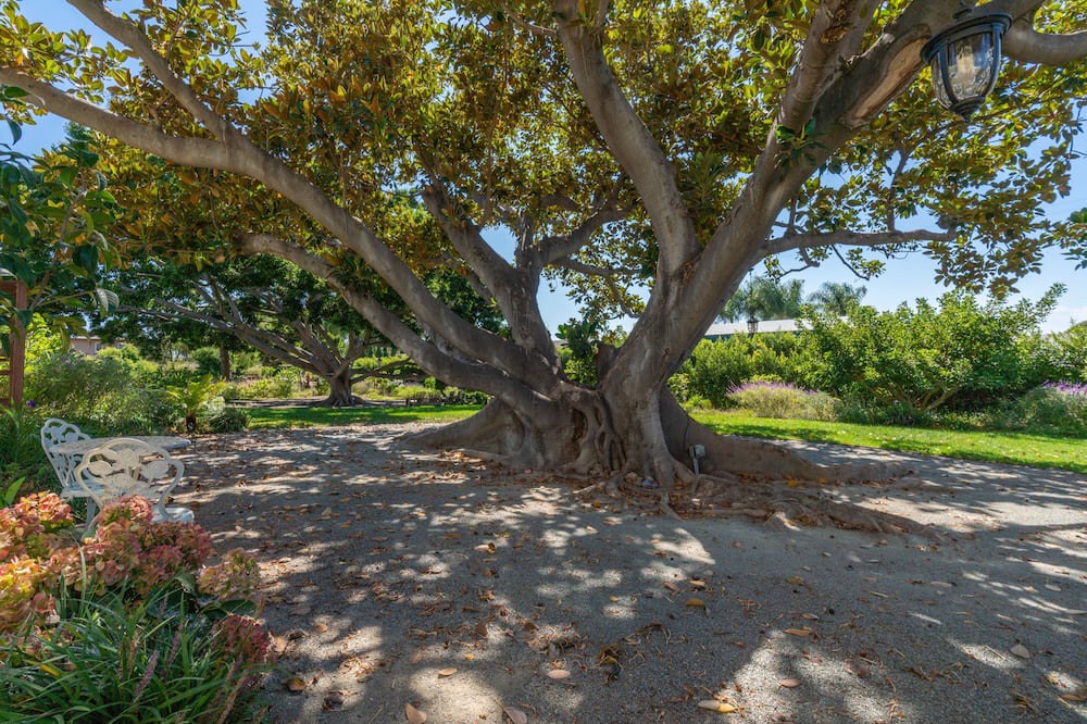 Photo of Outdoor in Lincoln Acres