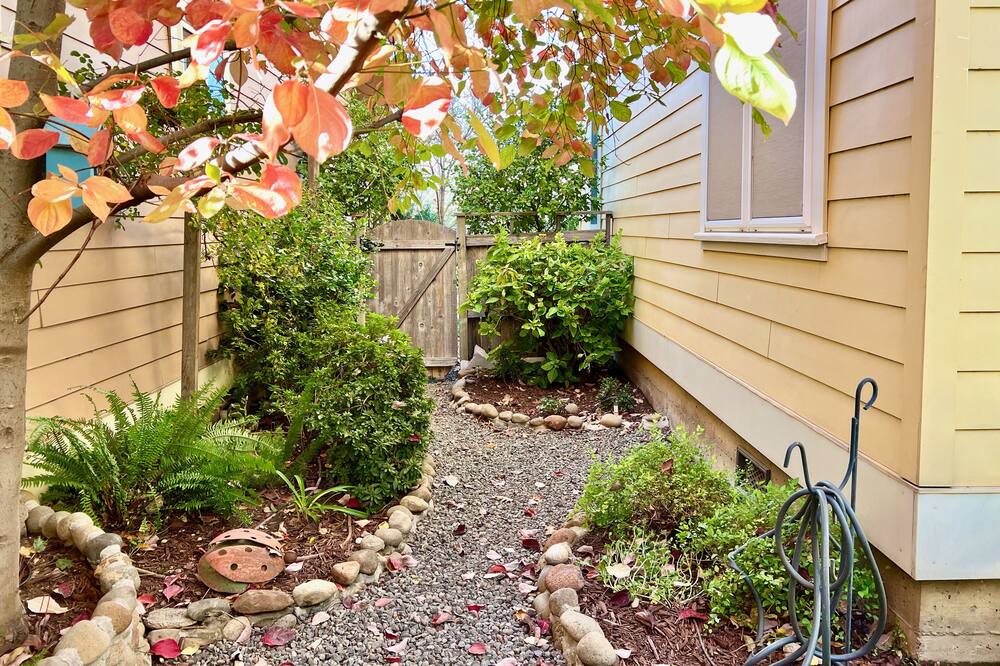 Photo of Outdoor in Chico