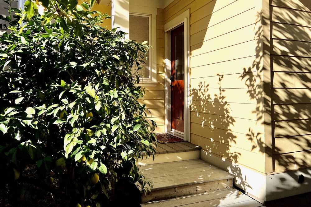 Photo of Outdoor in Chico