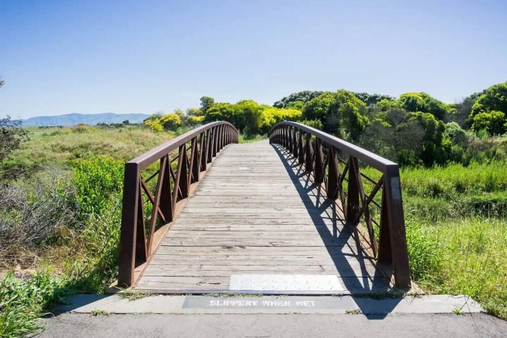 Photo of Others in Mountain View