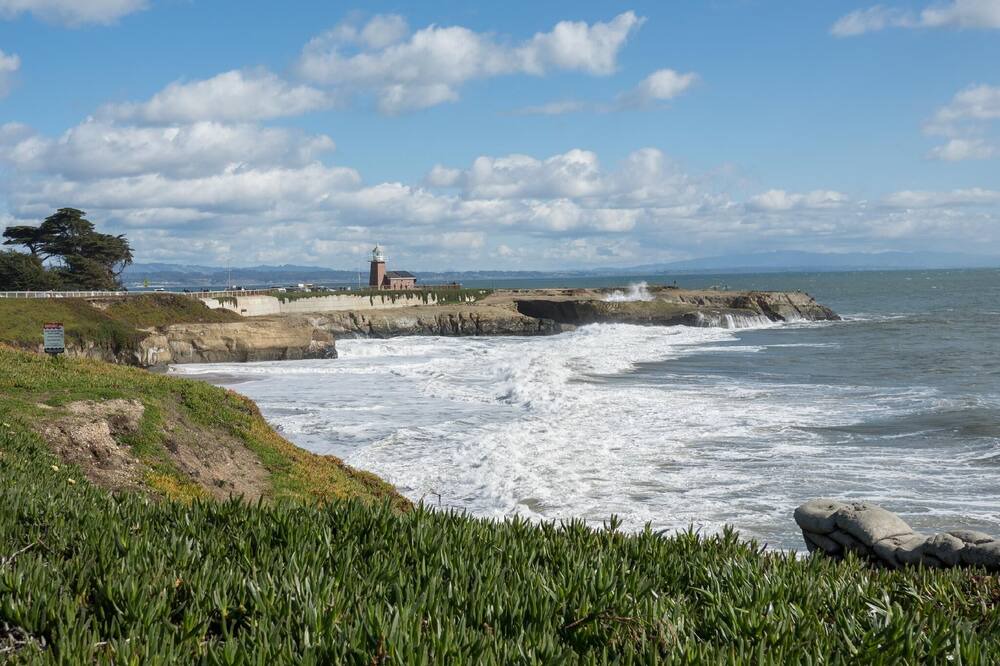 Photo of Others in Westside Santa Cruz