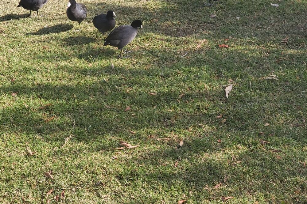 Photo of Others in South Mountain
