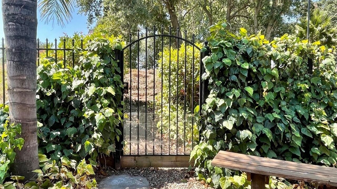 Photo of Outdoor in Stockton