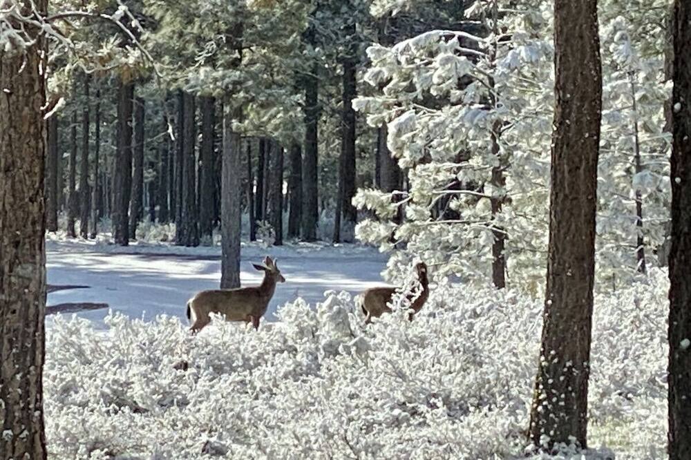 Photo of Others in Gold Mountain