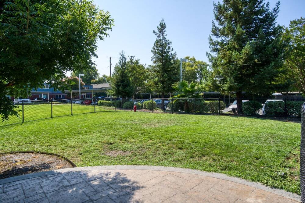 Photo of Outdoor in Campbell