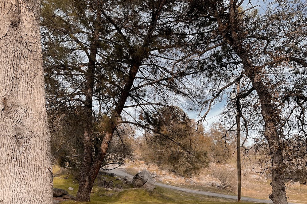Photo of Others in Yosemite Lakes