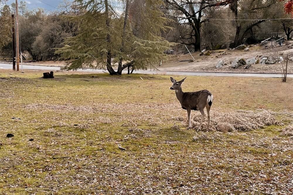 Photo of Others in Yosemite Lakes