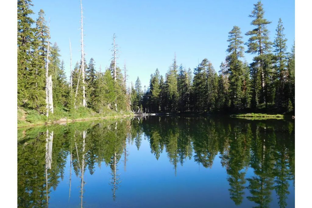 Photo of Outdoor in Cottage Grove