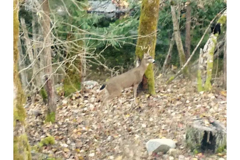 Photo of Outdoor in Cottage Grove