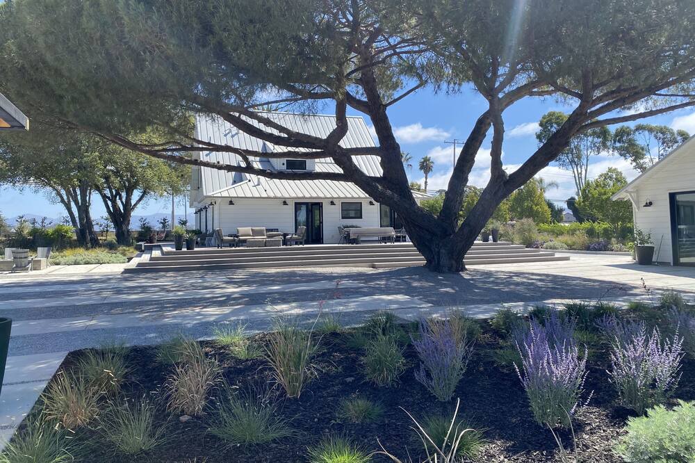 Photo of Outdoor in Napa