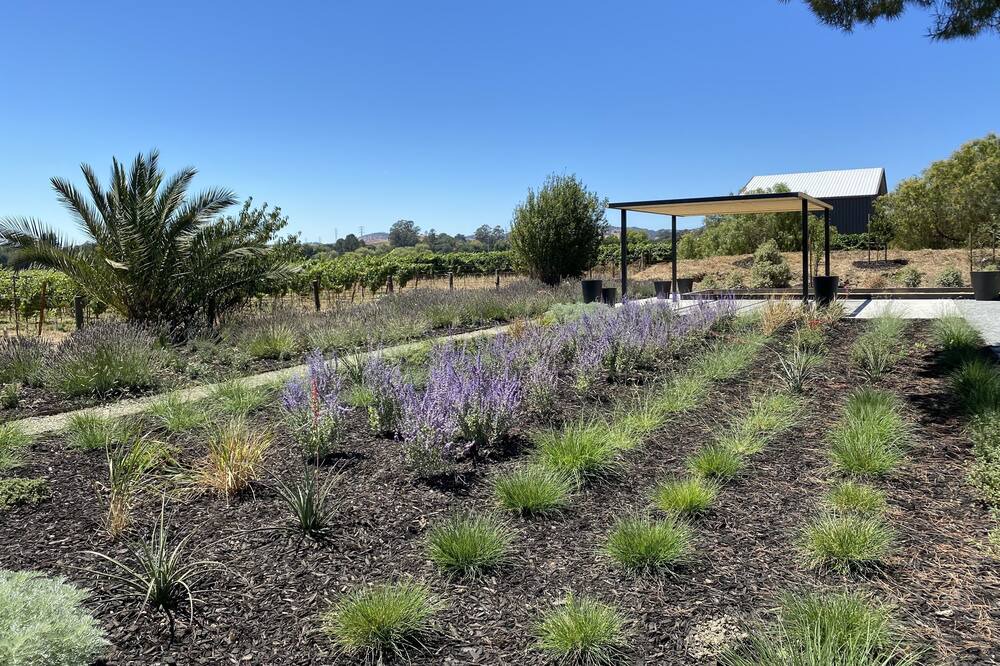 Photo of Outdoor in Napa