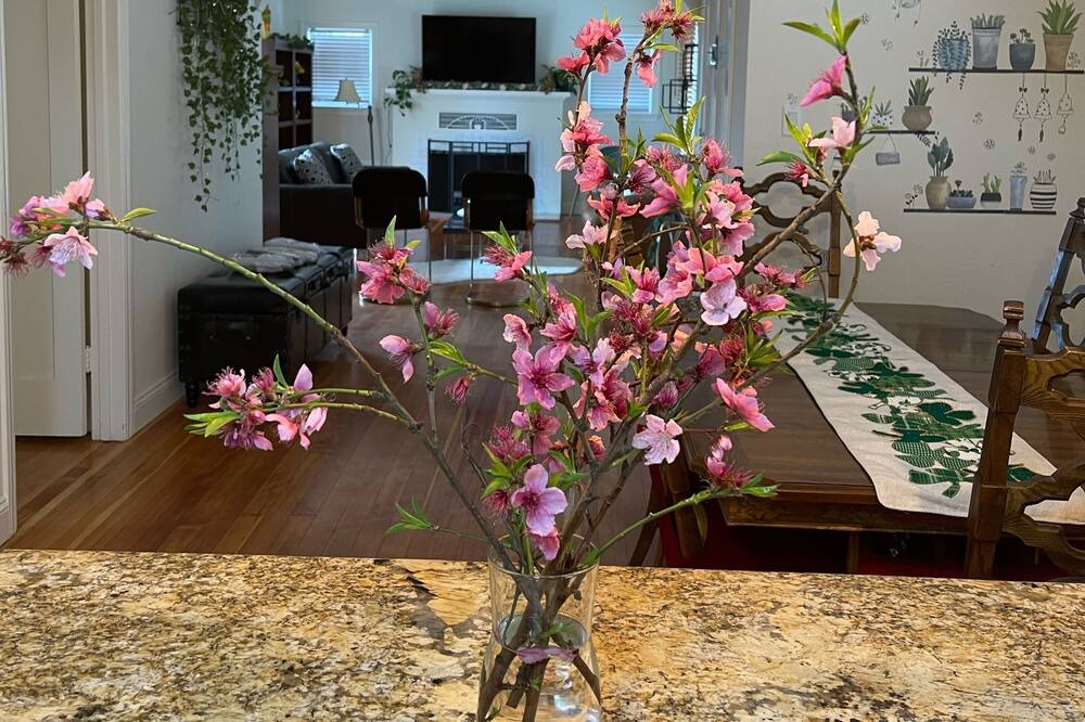 Photo of Livingroom in Berryessa