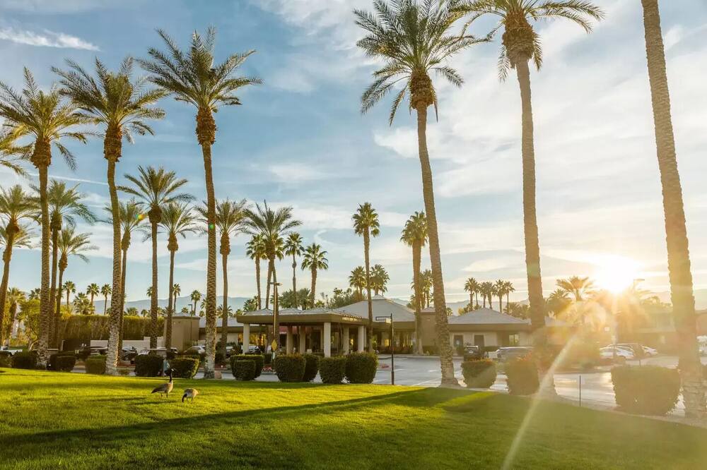 Photo of Others in Palm Desert